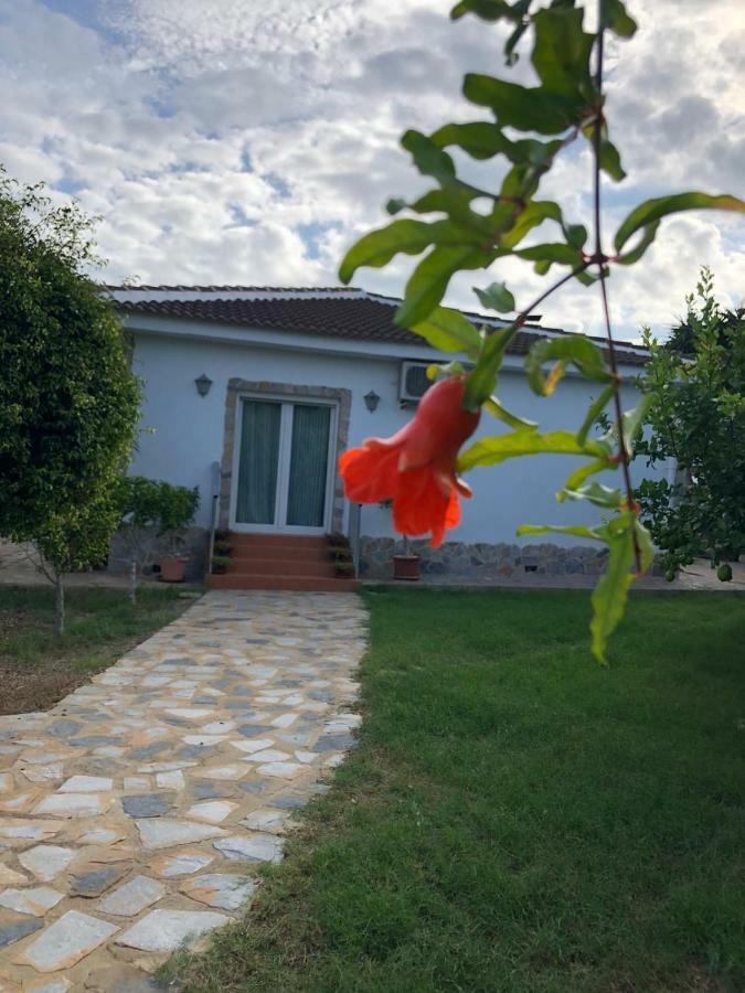 Casa Lusentum Villa Torrevieja Exterior photo
